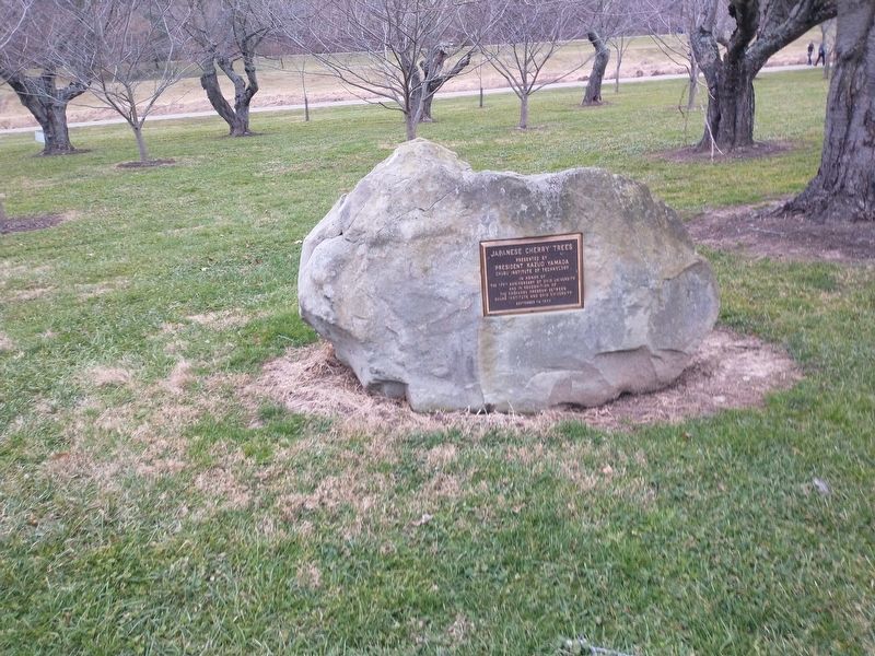 Japanese Cherry Trees Marker image. Click for full size.