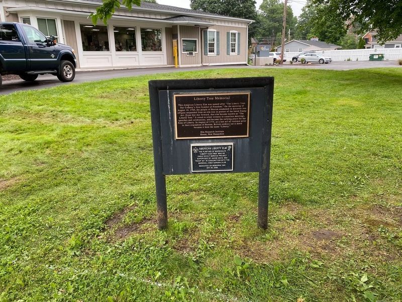 Liberty Tree Memorial image. Click for full size.
