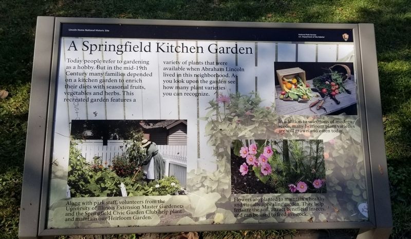A Springfield Kitchen Garden Marker. Click for full size. A Springfield Kitchen Garden Marker image. Click for full size.