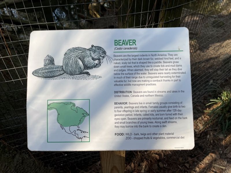Beaver Marker image. Click for full size.