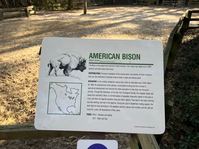 American Bison Marker image. Click for full size.