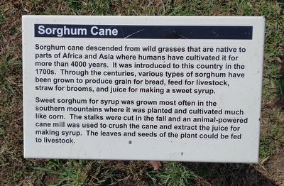 Sorghum Cane Marker image. Click for full size.