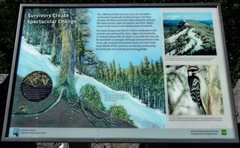Survivors Create Spectacular Change Marker. Click for full size. Survivors Create Spectacular Change Marker image. Click for full size.