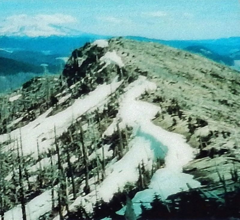 Marker detail: North-Facing Slope. Click for full size. Marker detail: North-Facing Slope image. Click for full size.