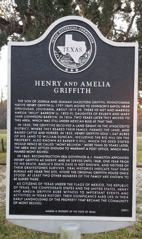 Henry and Amelia Griffith Marker image. Click for full size.