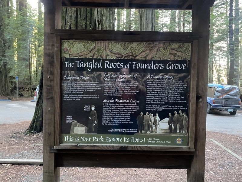 The Tangled Roots of Founders Grove Marker image. Click for full size.