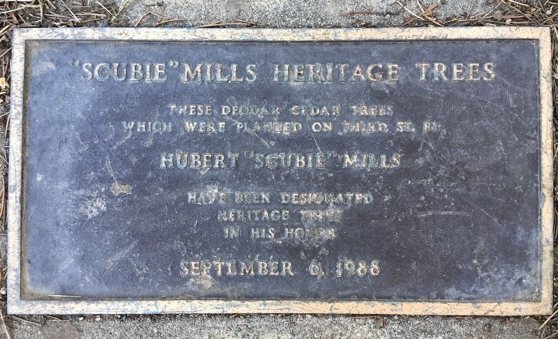 Scubie Mills Heritage Trees Marker image. Click for full size.