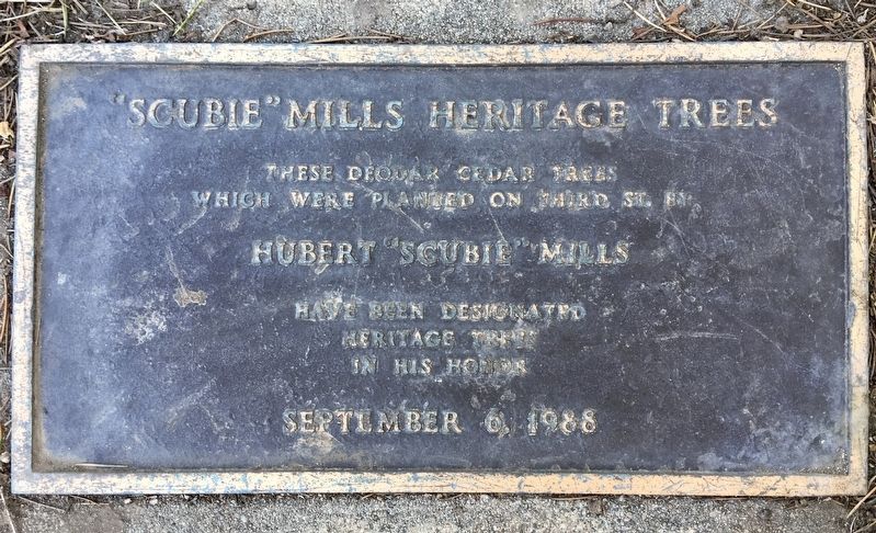 Scubie Mills Heritage Trees Marker. Click for full size. Scubie Mills Heritage Trees Marker image. Click for full size.