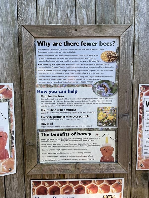Why are there fewer bees? / How you can help / The benefits of honey Marker image. Click for full size.