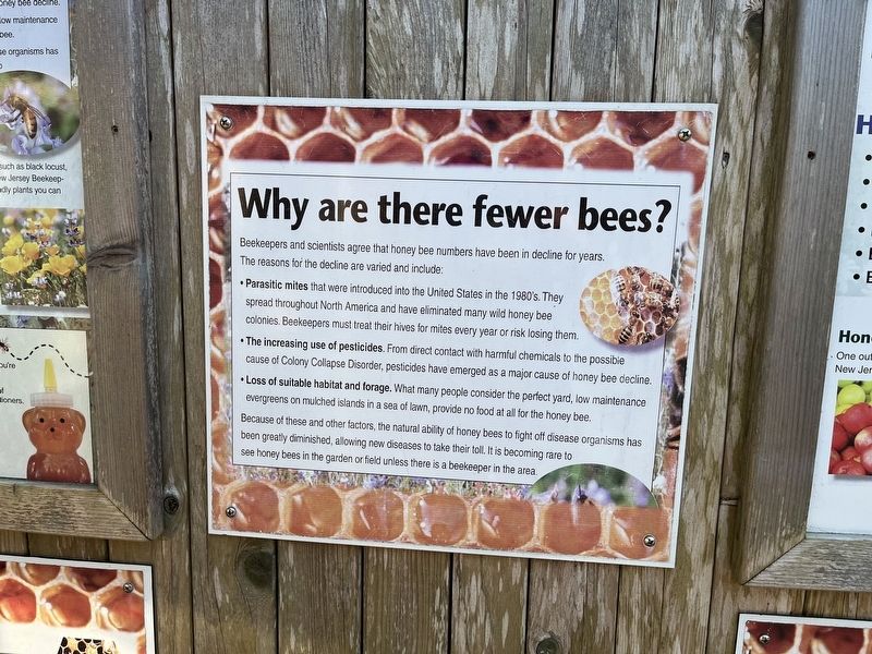 Why are there fewer bees? Marker image. Click for full size.