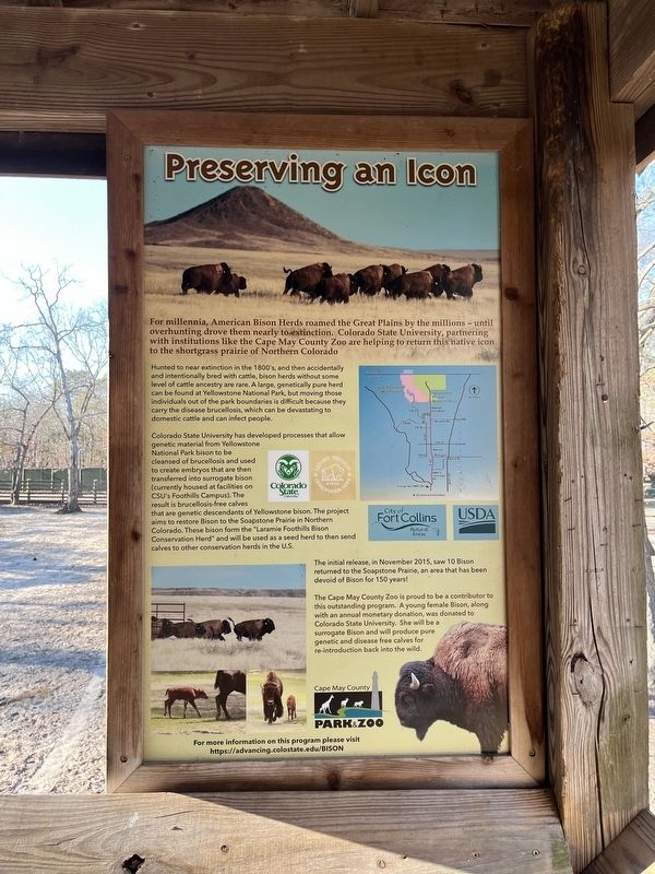 Preserving an Icon Marker image. Click for full size.