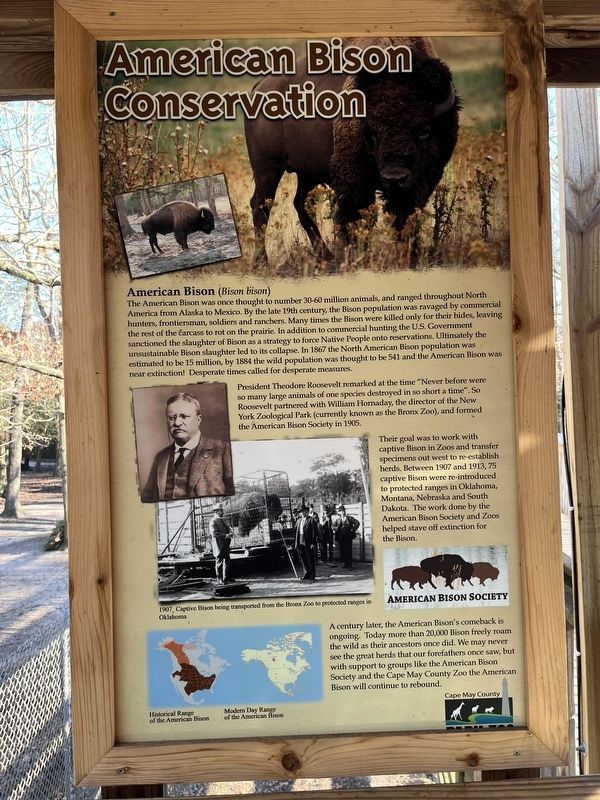American Bison Conservation Marker image. Click for full size.
