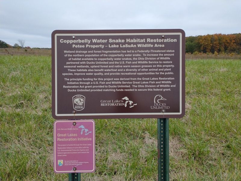 Copperbelly Water Snake Habitat Restoration Marker. Click for full size. Copperbelly Water Snake Habitat Restoration Marker image. Click for full size.
