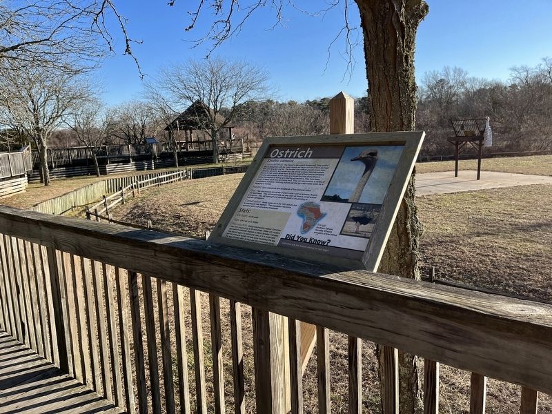Ostrich Marker. Click for full size. Ostrich Marker image. Click for full size.