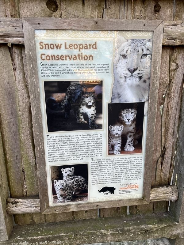 Snow Leopard Conservation Marker image. Click for full size.