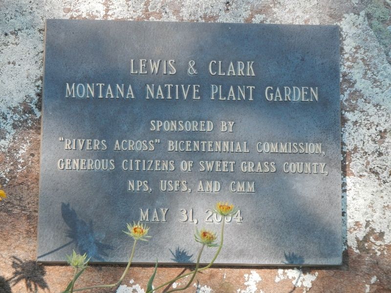 Lewis & Clark Montana Native Plant Garden. Click for full size. Lewis & Clark Montana Native Plant Garden image. Click for full size.