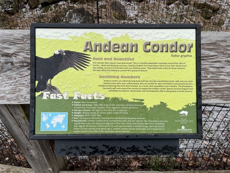 Andean Condor Marker image. Click for full size.