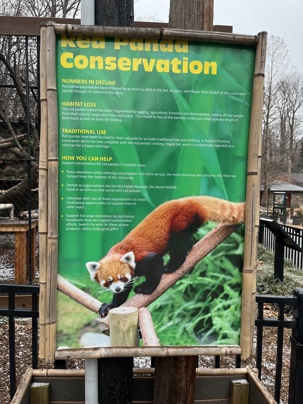 Red Panda Conservation Marker image. Click for full size.