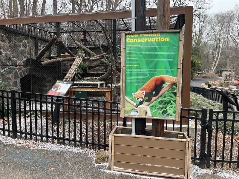 Red Panda Conservation Marker image. Click for full size.