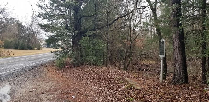 The view of the Swanson's Landing Marker from the street image. Click for full size.