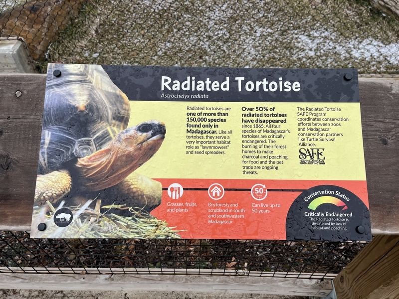 Radiated Tortoise Marker image. Click for full size.