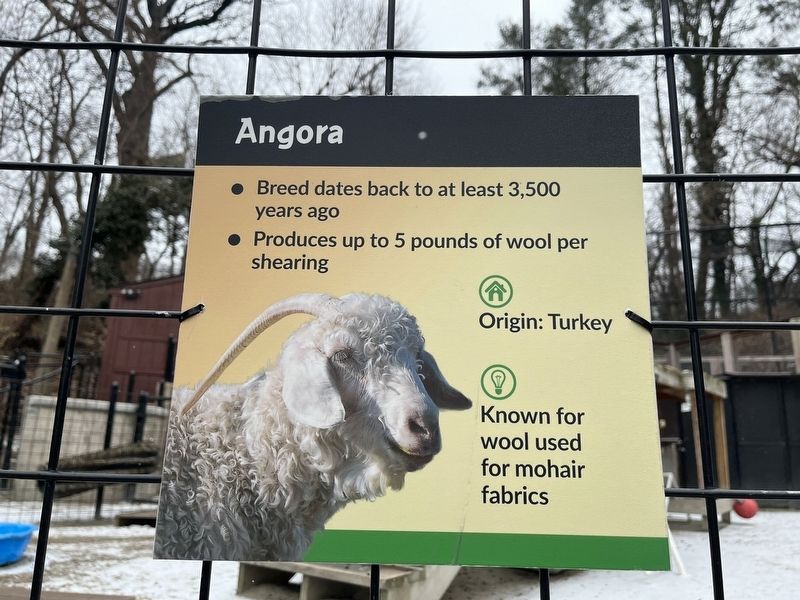 Angora Marker image. Click for full size.