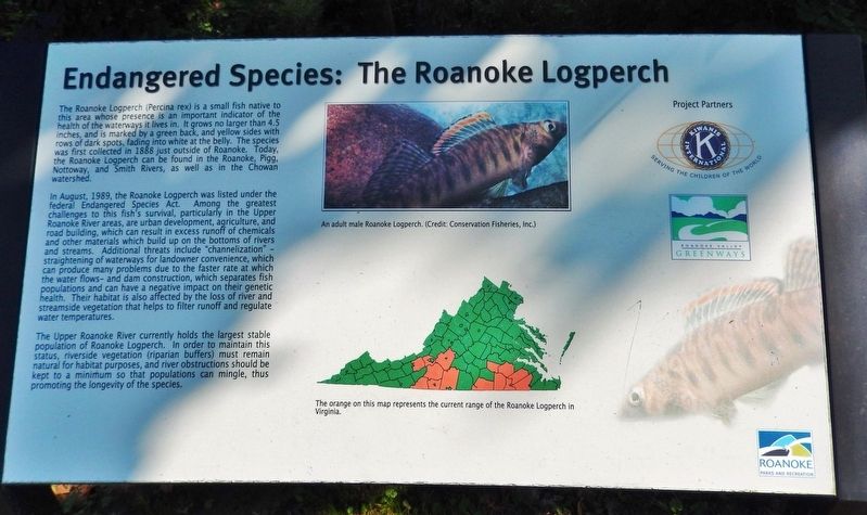 Endangered Species: The Roanoke Logperch Marker image. Click for full size.