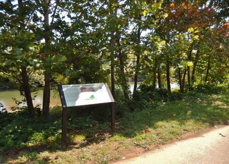 Endangered Species: The Roanoke Logperch Marker image. Click for full size.