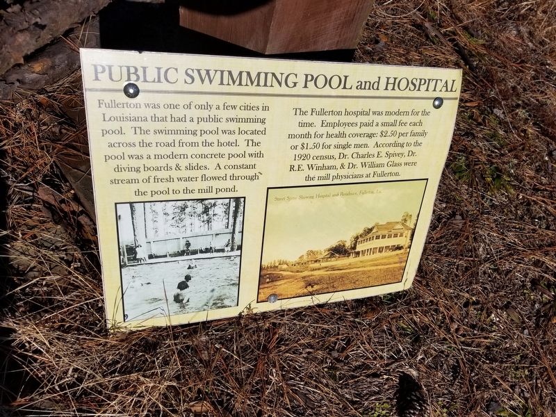 Public Swimming Pool and Hospital Marker image. Click for full size.