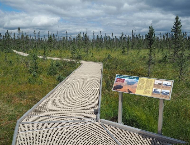 Marker along Big Bog State Recreation Area's Bog Boardwalk image. Click for full size.