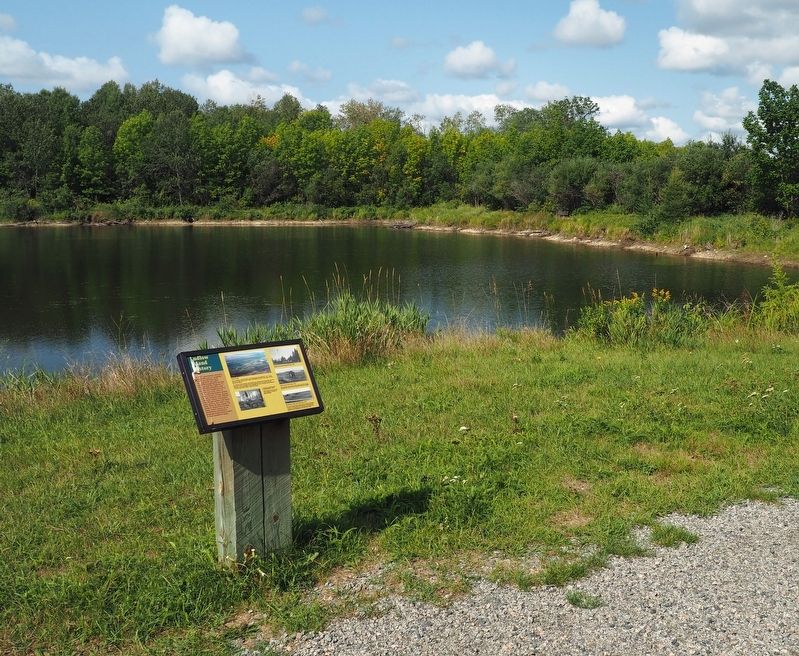 Marker on the trail around Ludlow Pond image. Click for full size.