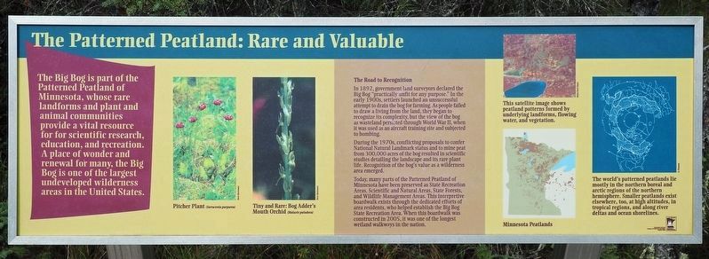 The Patterned Peatland: Rare and Valuable Marker. Click for full size. The Patterned Peatland: Rare and Valuable Marker image. Click for full size.