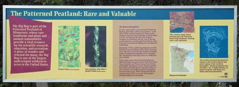 The Patterned Peatland: Rare and Valuable Marker image. Click for full size.