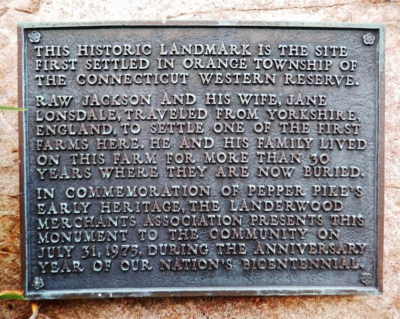 Raw Jackson Marker. Click for full size. Raw Jackson Marker image. Click for full size.