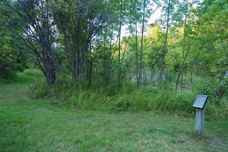 The Marina Marker along Big Bog State Recreation Area's Old Marina Trail image. Click for full size.