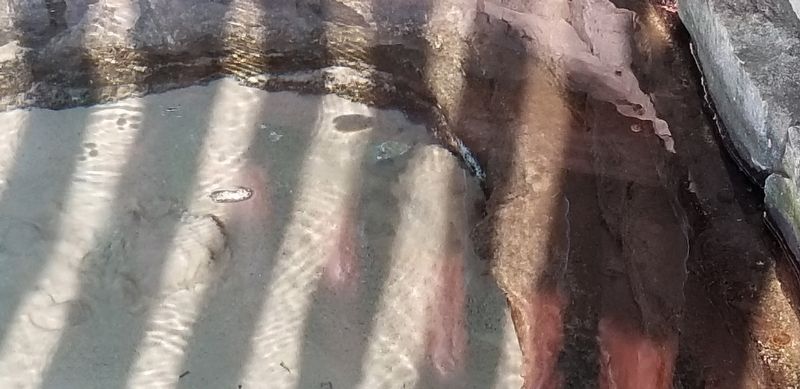 Closeup of the Boiling Springs image. Click for full size.
