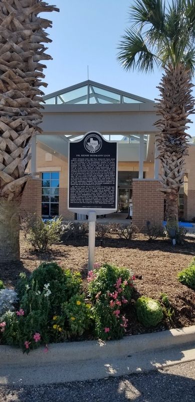 Dr. Henry Hofmann Loos Marker image. Click for full size.