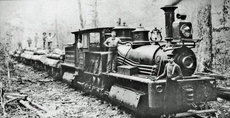 Marker detail: Railroad Logging image. Click for full size.