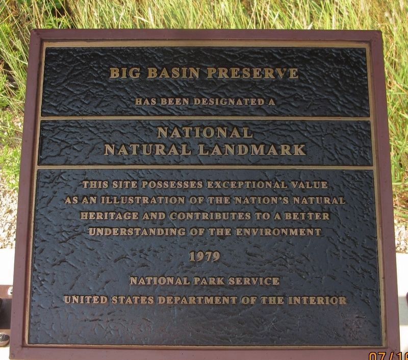 Big Basin Preserve image. Click for full size.