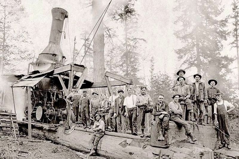 Willamette Steam Donkey, Deer Island Logging Company - c. 1925 image. Click for full size.
