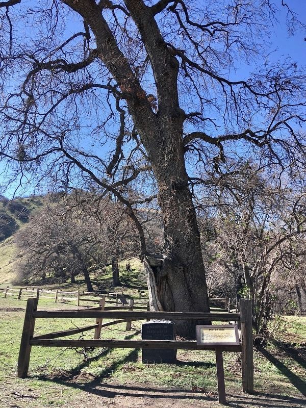 Peter Lebec Marker, Headstone, and Tree image. Click for full size.