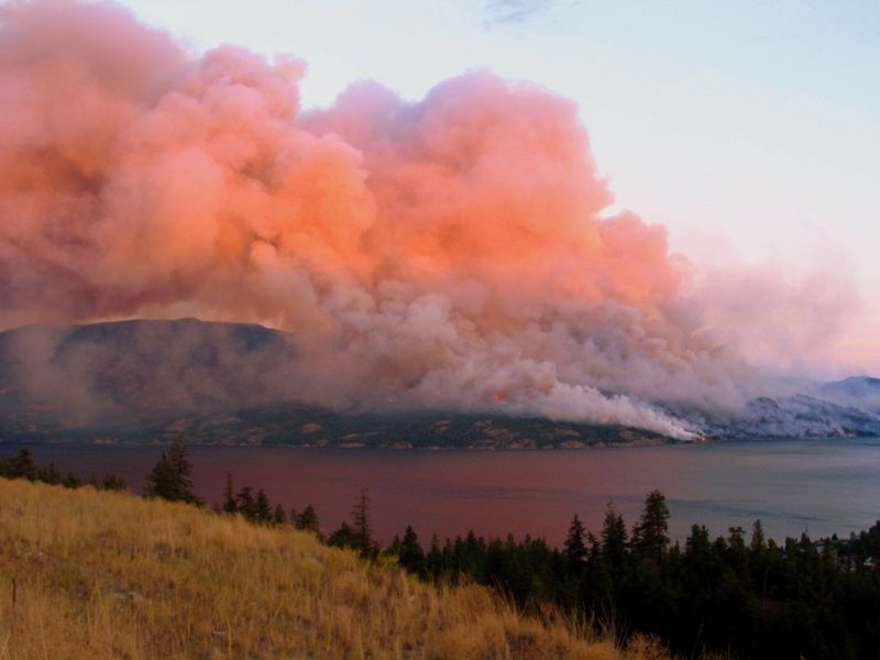 Okanagan Fire image. Click for full size.