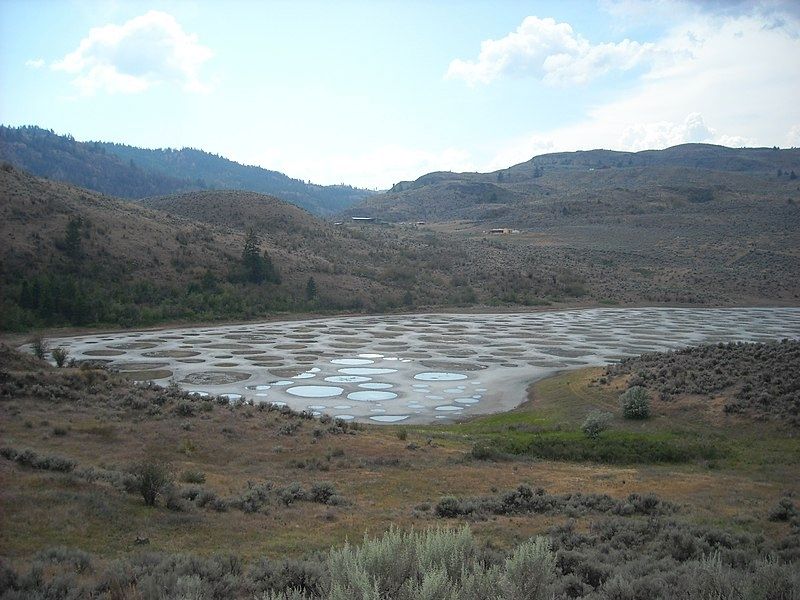 Spotted Lake image. Click for full size.