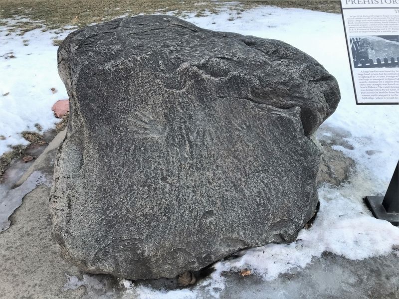 Prehistoric Prayer Rock image. Click for full size.