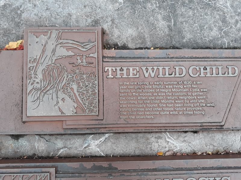 The Wild Child Marker image. Click for full size.