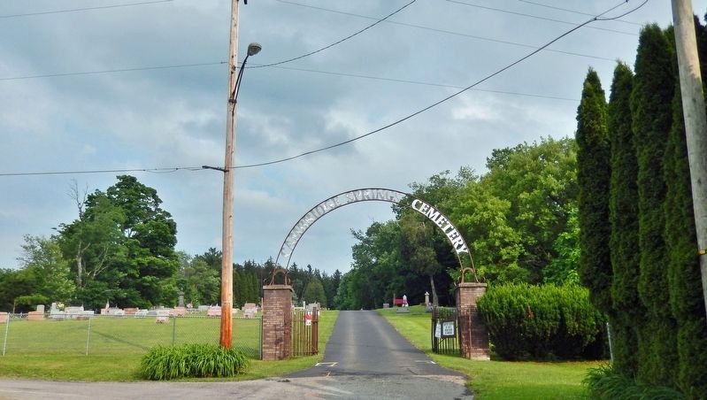 Cambridge Springs Cemetery Entrance. Click for full size. Cambridge Springs Cemetery Entrance image. Click for full size.