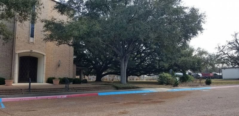 The view of the First Presbyterian Church of Victoria and Marker from the church parking lot image. Click for full size.