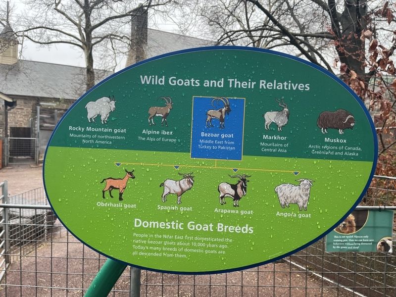 Domestic Goat Breeds Marker image. Click for full size.