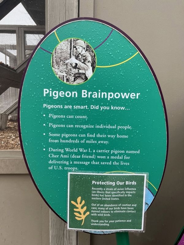 Pigeon Brainpower Marker image. Click for full size.