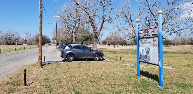 The view of the Margaret Wright "The Mother of Texas" Marker from the street image. Click for full size.
